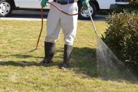 EPM Pest Control Brisbane image 6